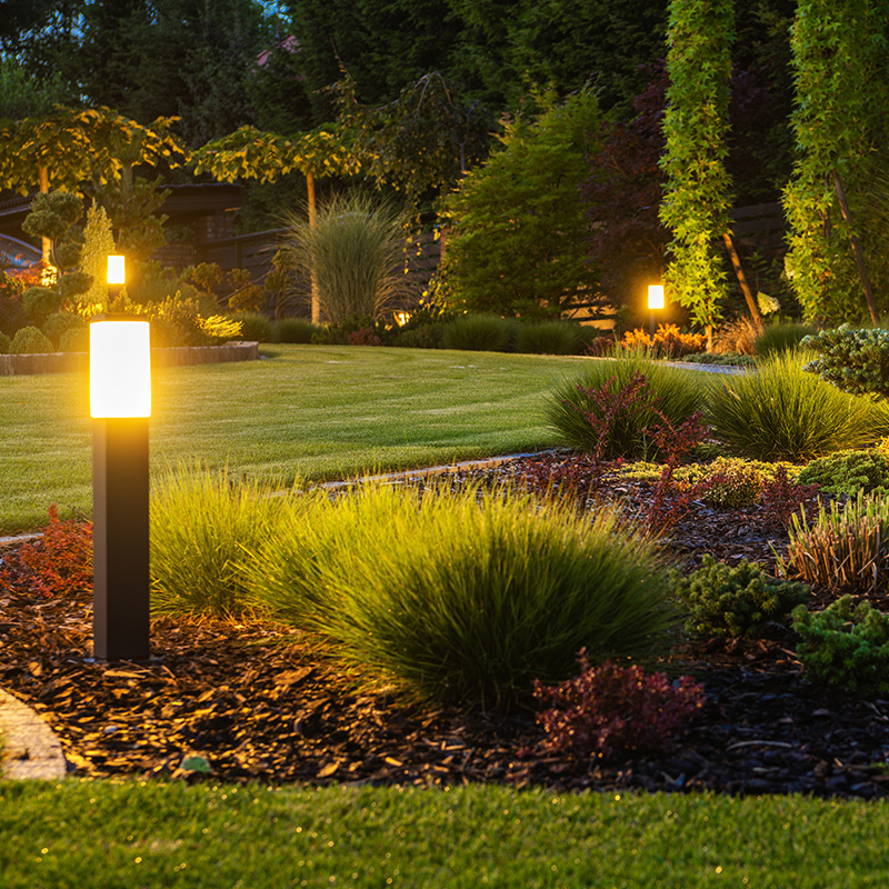 A beautiful garden at night.